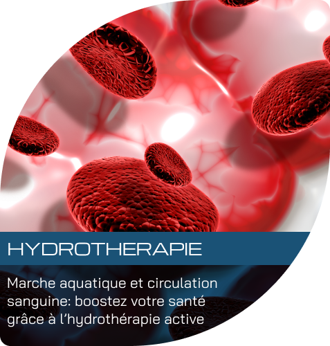 Marche aquatique et circulation sanguine : boostez votre santé naturellement grâce à l’hydrothérapie active